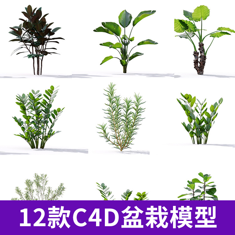 C4D植物盆栽模型工艺品场景3d花草艺术摆件装饰品模型A1155