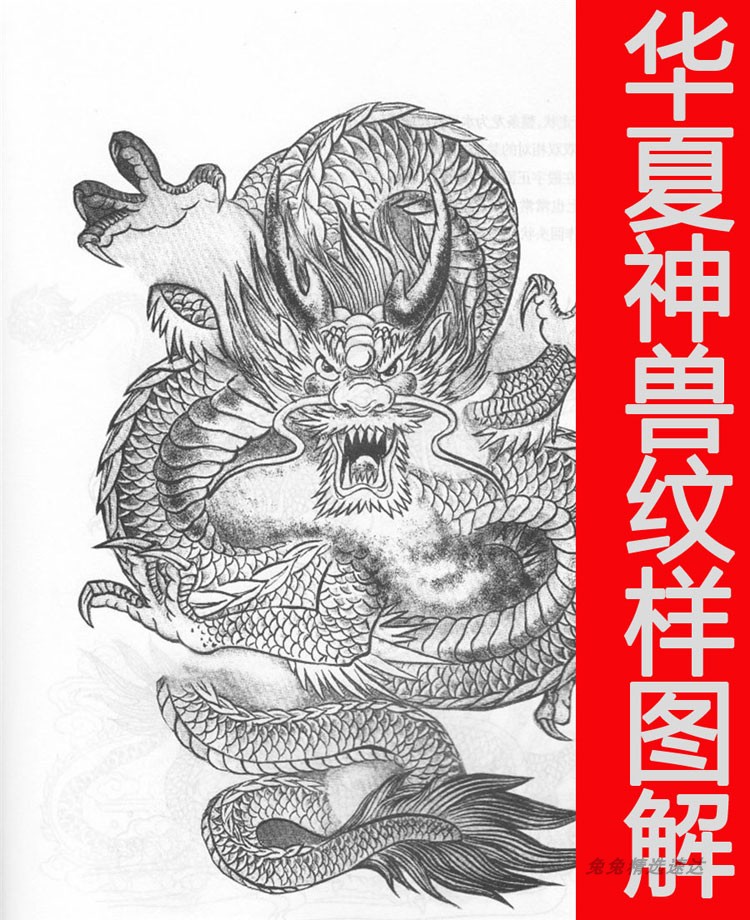 华夏风格 中国古代神兽的各种形态造型图解 漫画手绘插画游戏素材