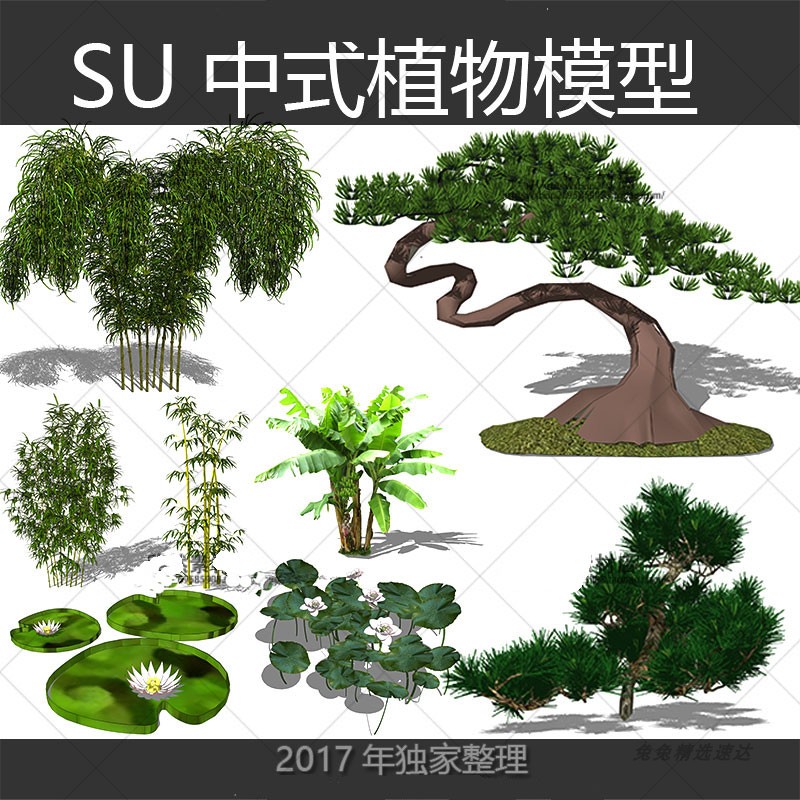 新中式庭院植物竹荷花松树迎客松竹子sketchup景观SU模型