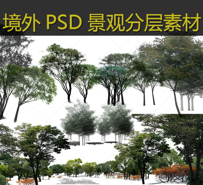 境外景观设计PSD树木植物近景乔木灌木花卉后期植物PS分层素材