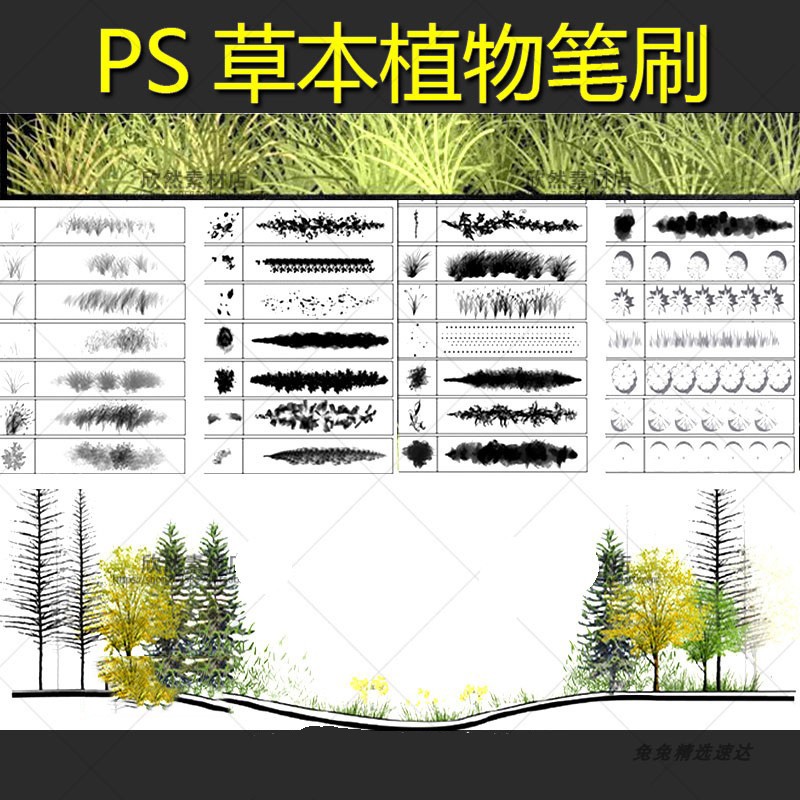 BS1花草树木草本植物PS笔刷平面图剖立面效果图规划建筑景观素材