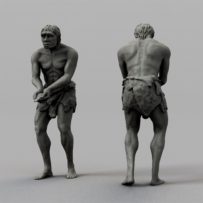 人类祖先猿人海德堡人石膏像雕塑C4D模型创意场景3D模型素材MX298