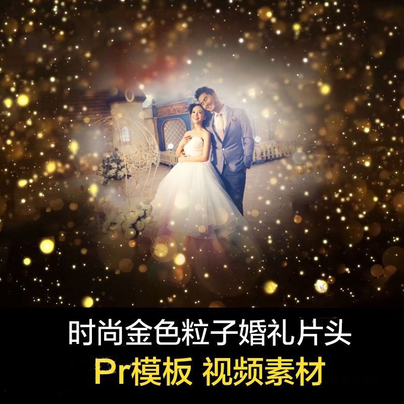 时尚金色粒子婚礼开场照片 PR片头视频 Premiere模板素材