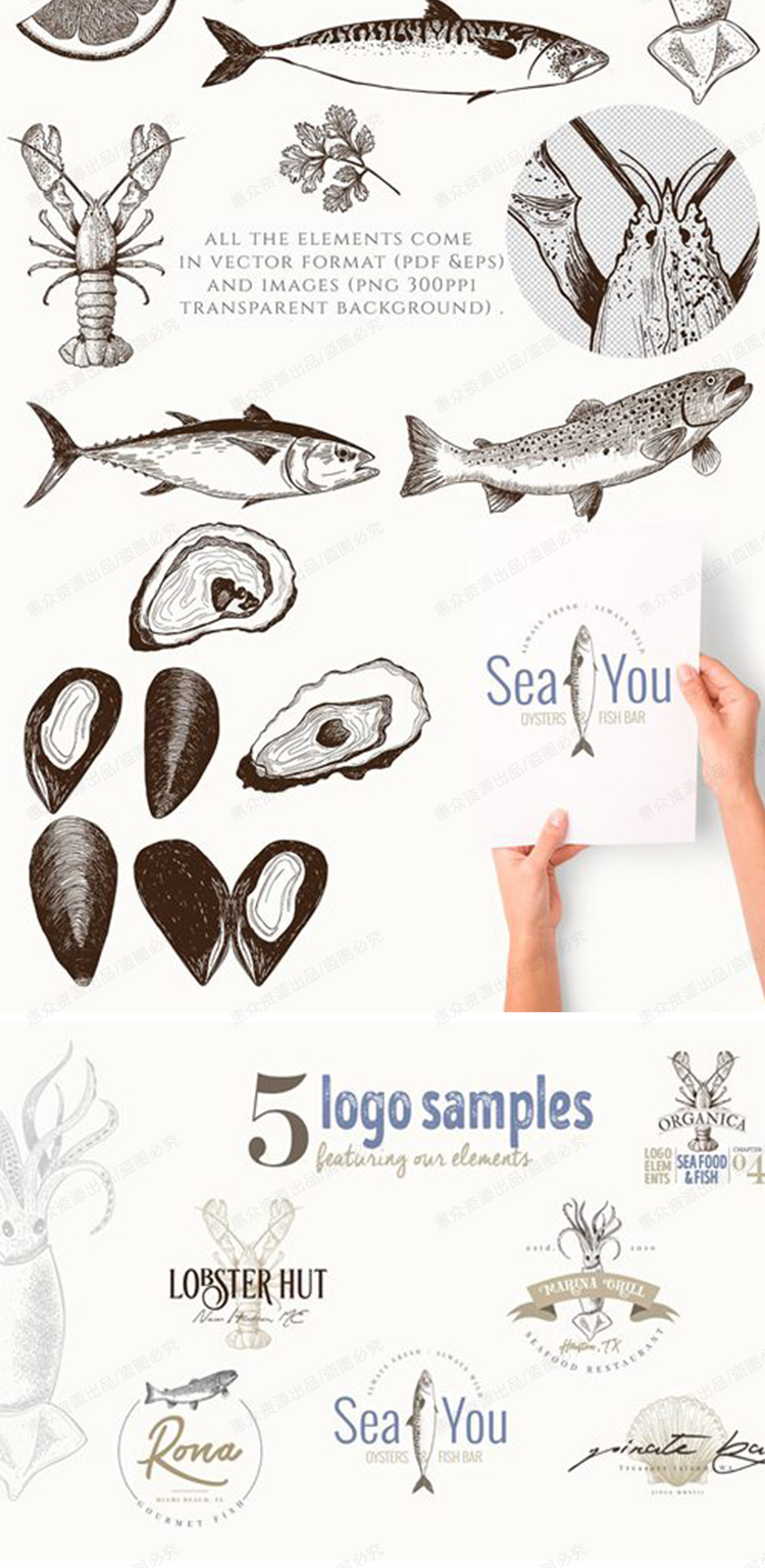 手绘素描海鲜鱼类铅笔画平面VI包装图案logo菜单设计印刷矢量素材 第6张