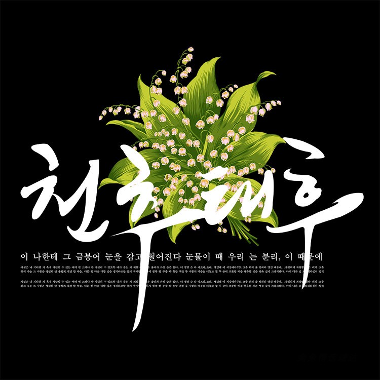 PS素材 韩版写真艺术韩文字体设计 影楼婚纱素材PSD模板 第10张