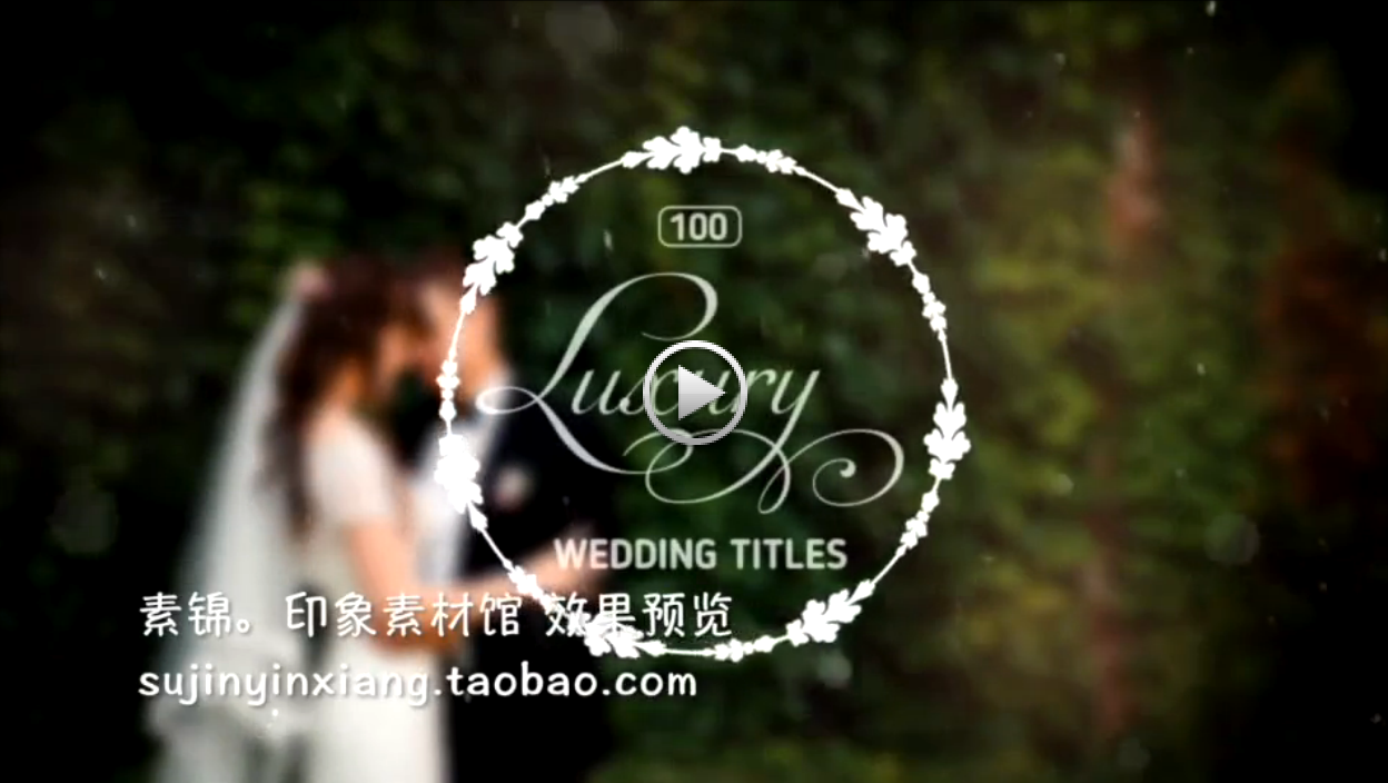 国外AE模版素材 唯美婚礼标题文字 微电影开场MV片头动画后期字幕 第23张