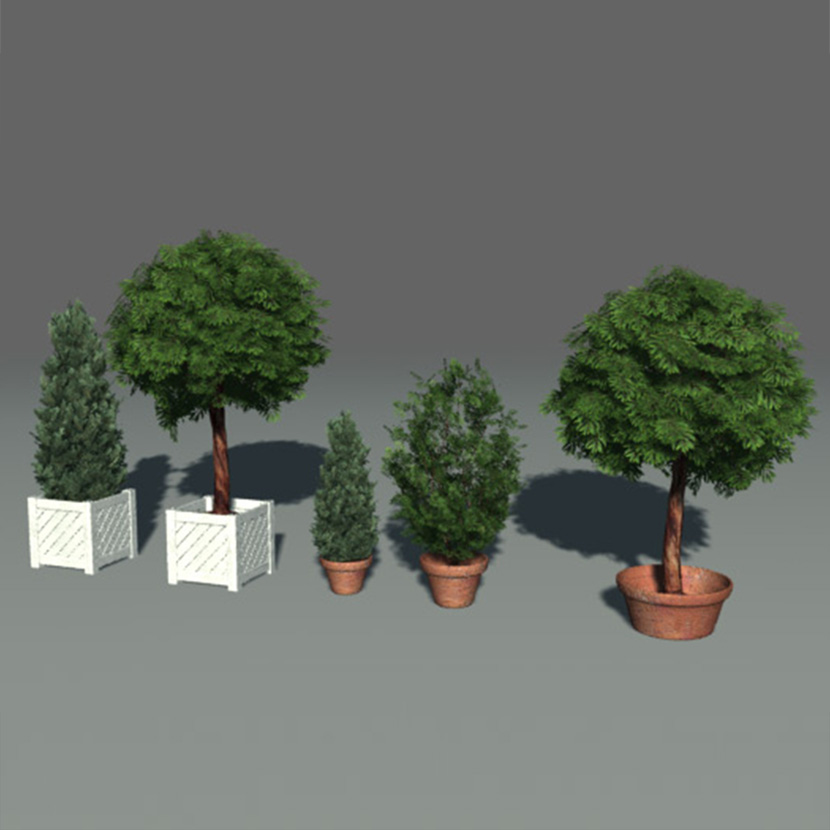 景观树盆景树C4D模型中国风景观植物创意场景3D模型素材 CY775