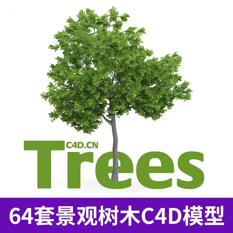 64套景观树木C4D模型合集环境园林艺术设计3D模型素材1940