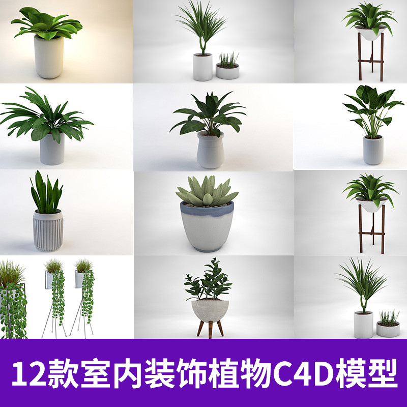12款室内装饰植物芦荟多肉金桔C4D模型创意场景3D模型素材A333