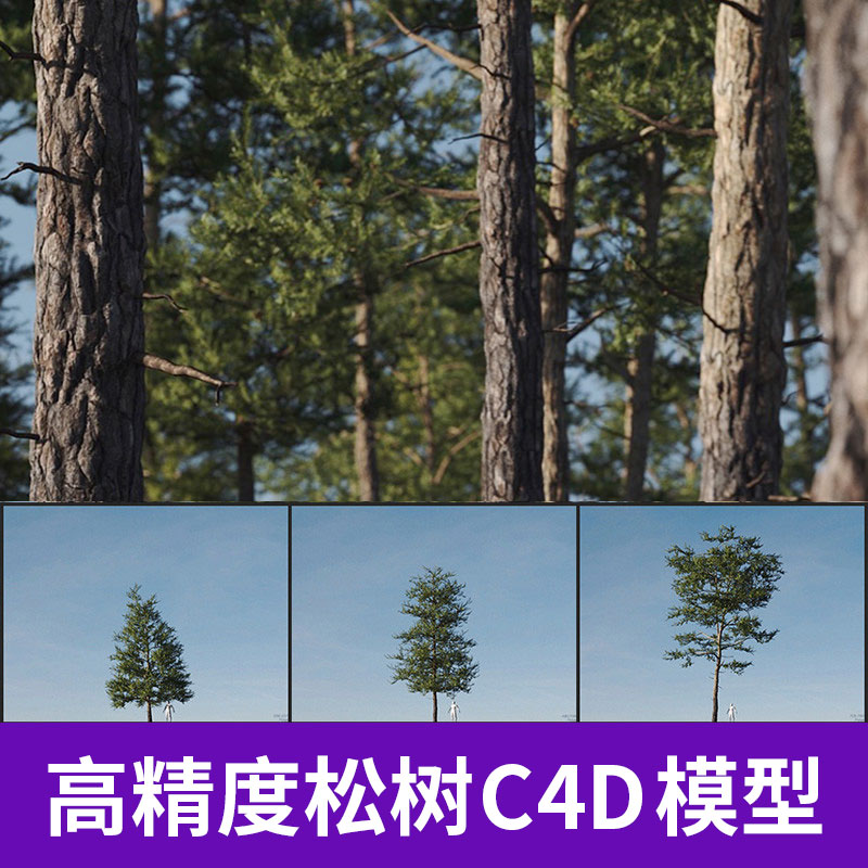 高精度松树C4D模型创意场景3D模型素材A834