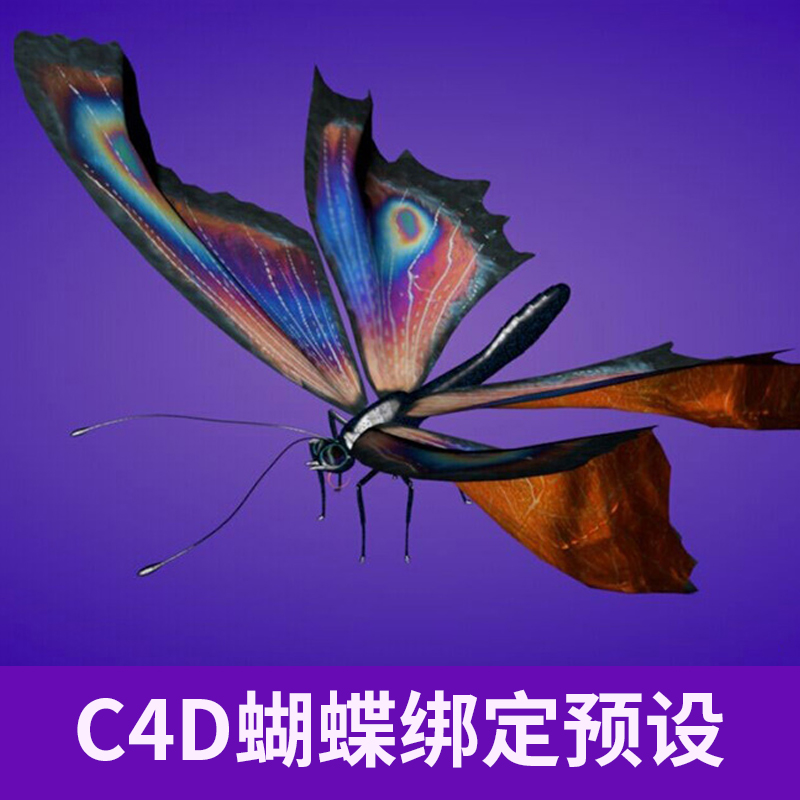 C4D蝴蝶绑定预设汉化版可控制多处动作创意场景3D模型素材A893