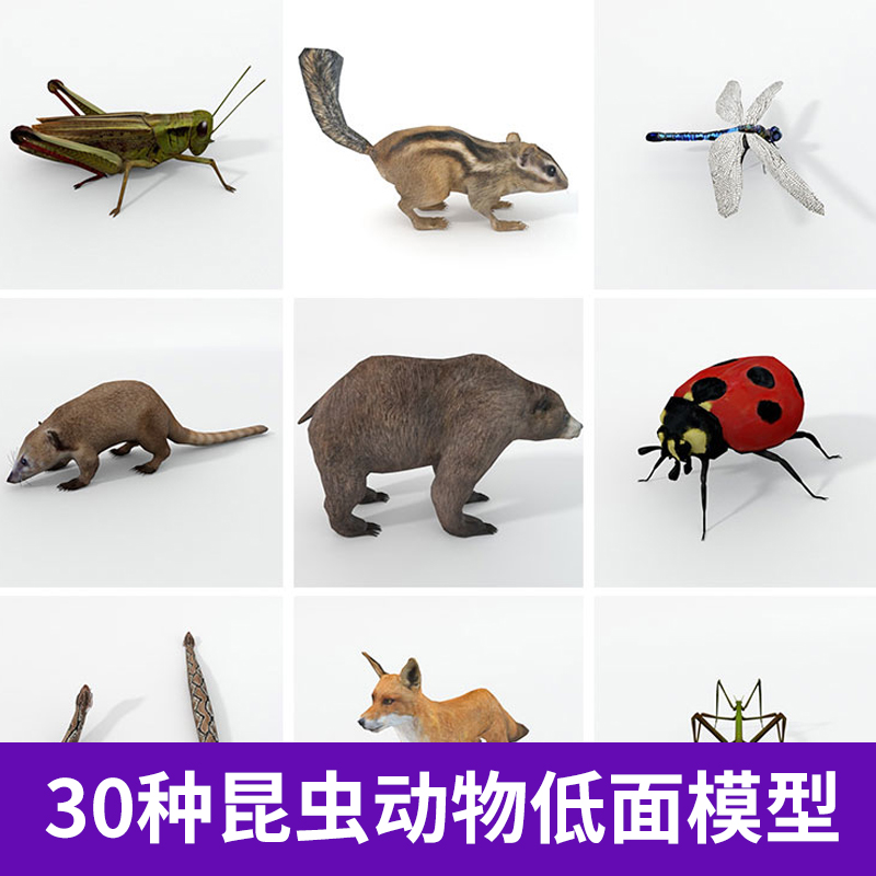 30种森林昆虫动物低面模型鹰变色龙麋鹿蜘蛛猪狐狸蝗虫蜻蜓A441